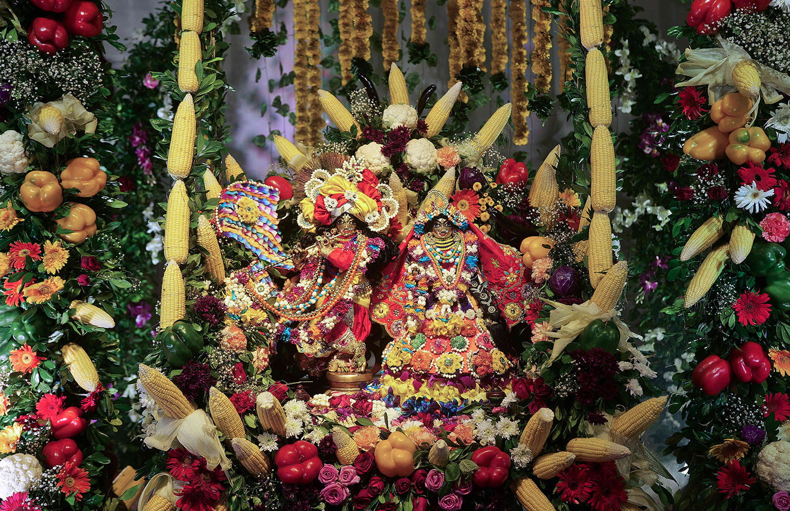 Jhulan Utsav 2026 Day 4